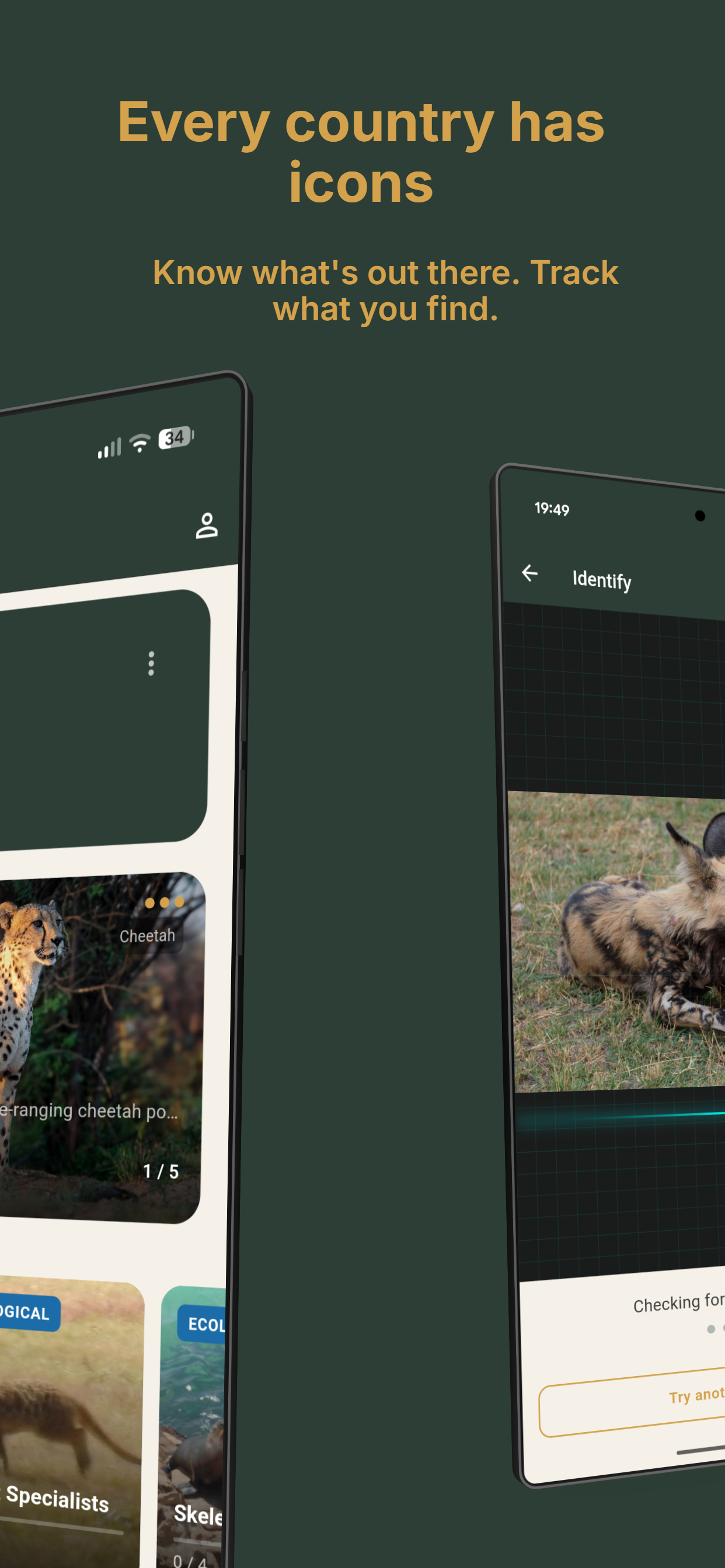 AI species identification in action