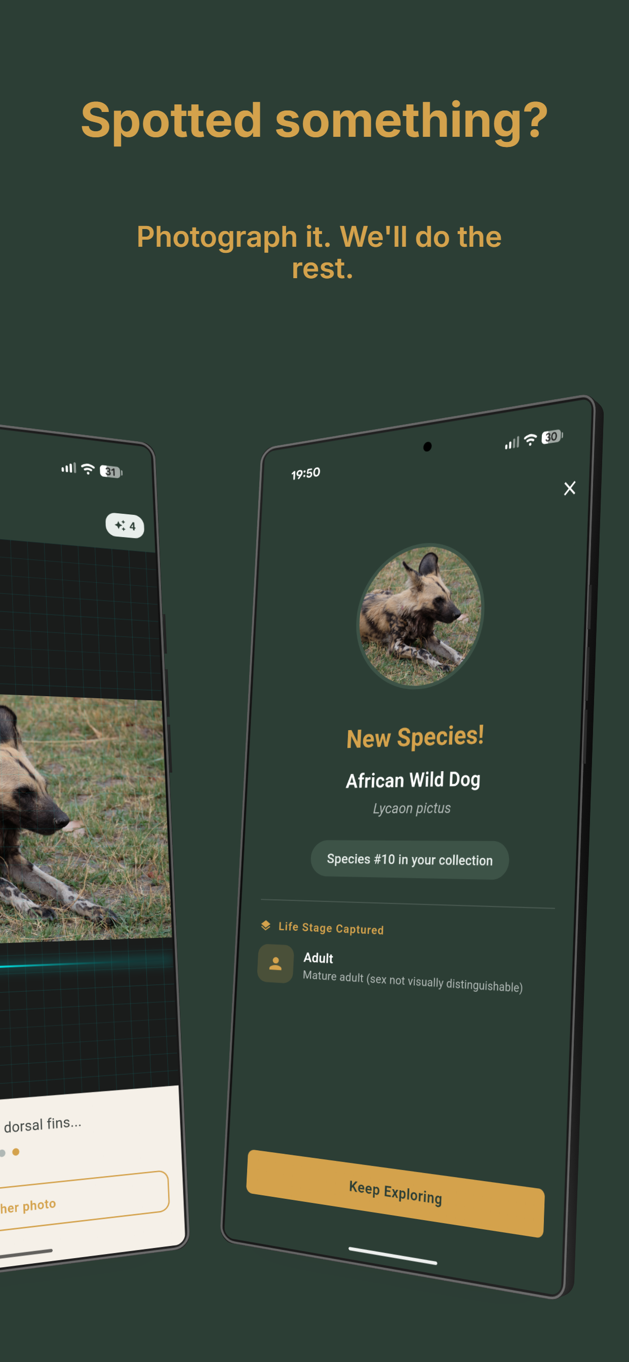 Sighting log with location and photo